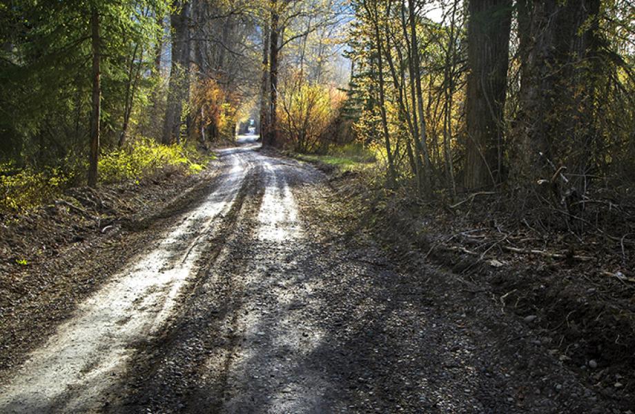 Rural road